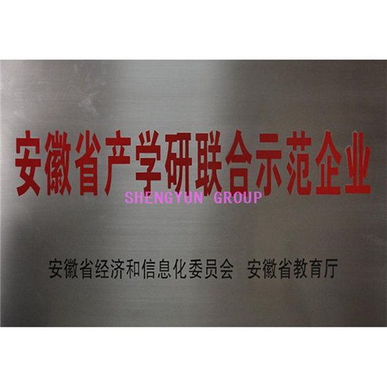 安徽省产学研联合示范企业